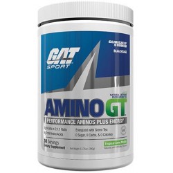 GAT AMINO GT POWER 30 SERVICIOS